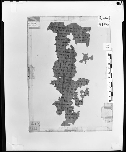 Codex IV papyrus page 25