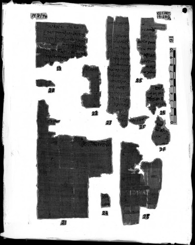 Codex VII cartonnage fragments