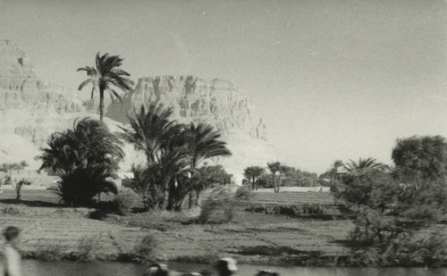 Valley of Jabal al-Ṭārif cliff