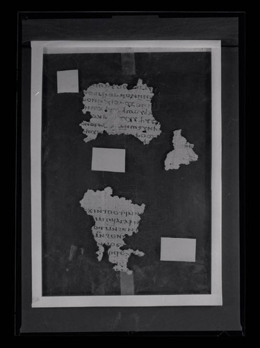 Codex IX, papyrus page 11