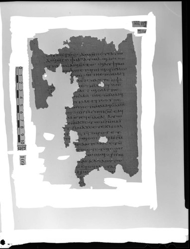 Codex VIII, papyrus page 119