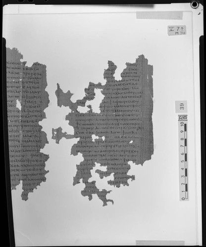 Codex V, papyrus page 7