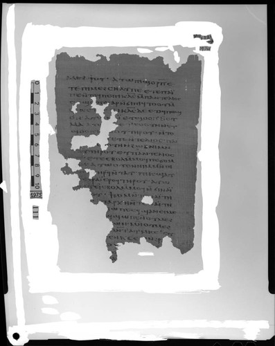 Codex VIII, papyrus page 121