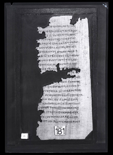 Codex III, papyrus page 25