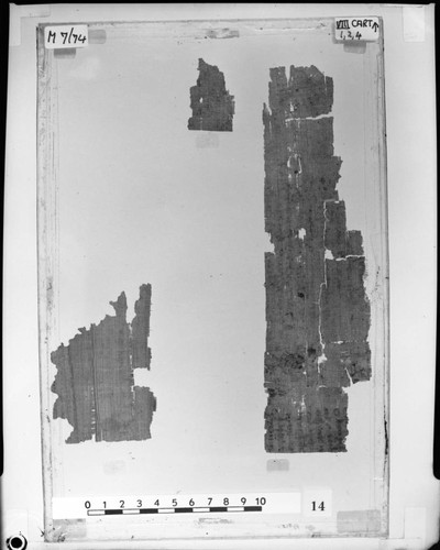 Codex VIII cartonnage fragments 1, 2, and 4, verso