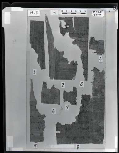 Codex V cartonnage fragments