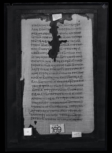 Codex III, papyrus page 11