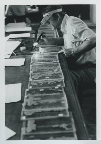 Charles Hedrick at work in the Coptic Museum