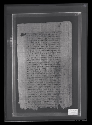 Codex VII, papyrus page 37