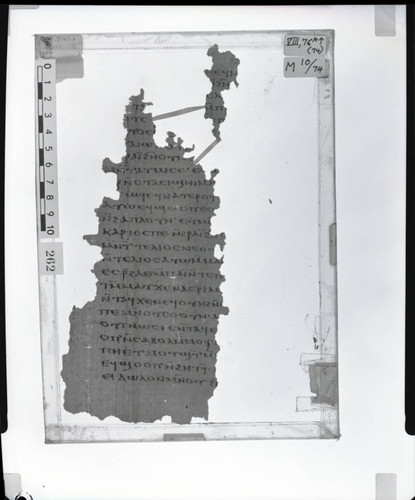 Codex VIII, papyurs page 76