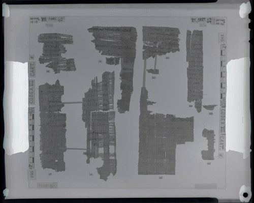 Codex VII, remnants 16e-19e and 20e-25e