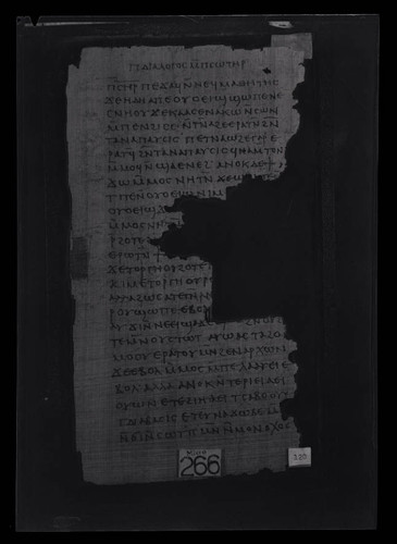 Codex III, papyrus page 120