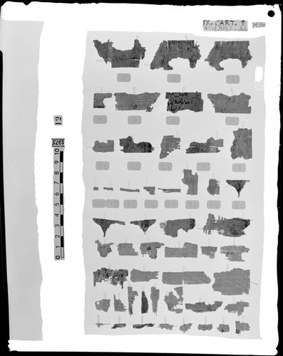 Codex IX, 1e-20e cartonnage