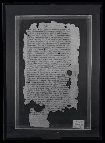 Codex II, papyrus page 139