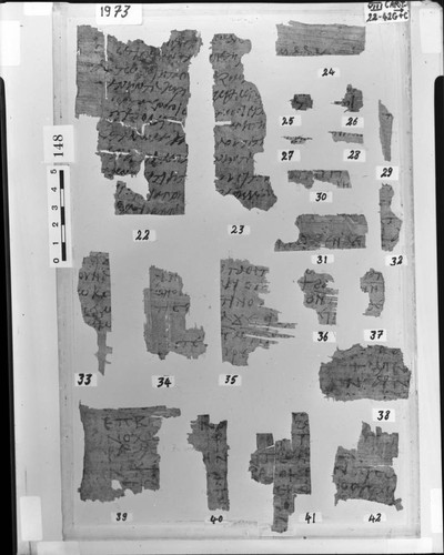 Codex VIII cartonnage fragments