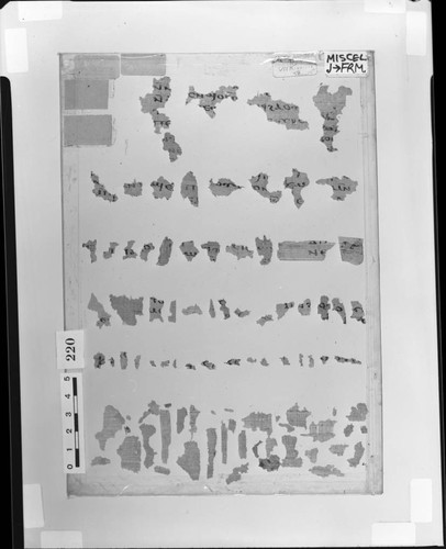 Miscellaneous horizontal papyri fragments from the J Series