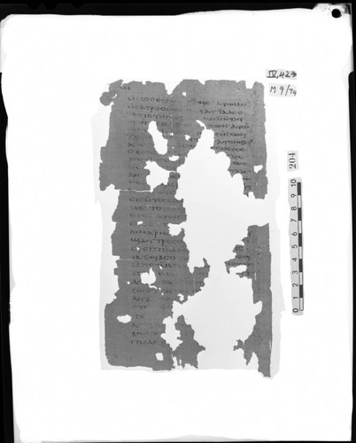 Codex IV, papyrus page 42