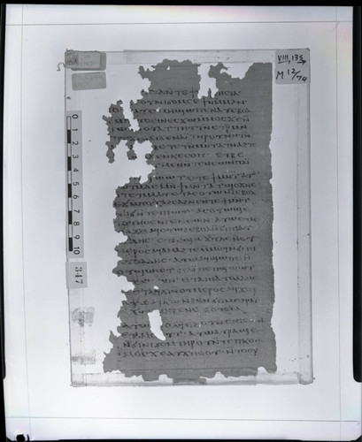 Codex VIII, papyrus page 135