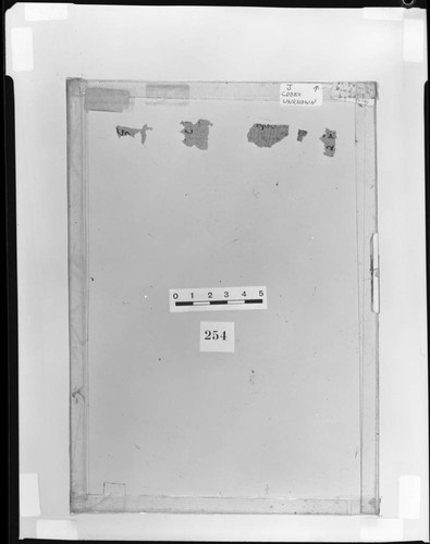 Miscellaneous papyri fragments from the J-series