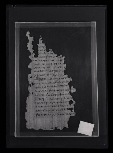 Codex VIII, papyrus page 78