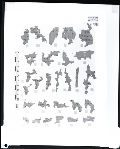 Codex VIII fragments, verso