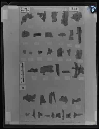 Codex V cartonnage fragments, verso