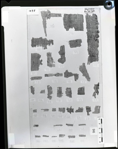 Codex VII cartonnage fragments, verso