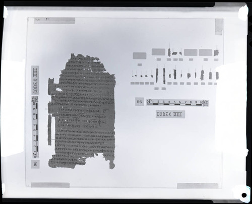 Codex XIII, papyrus page 50