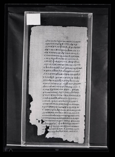 Codex VI, papyrus page 40