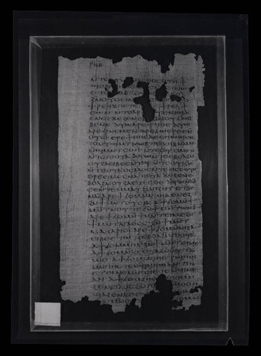 Codex VII, papyrus page 122