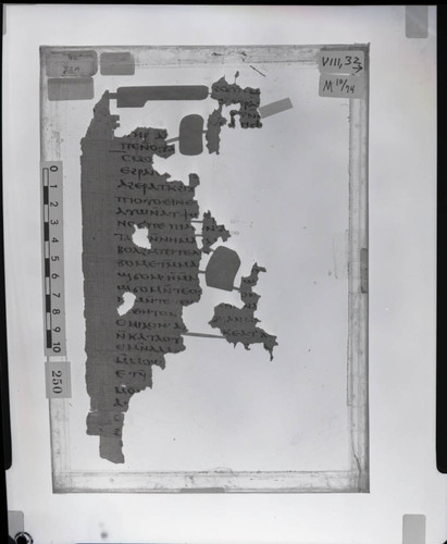 Codex VIII, papyrus page 32