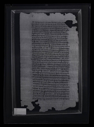 Codex VII, papyrus page 10