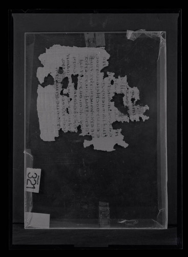 Codex VIII, papyrus page unknown