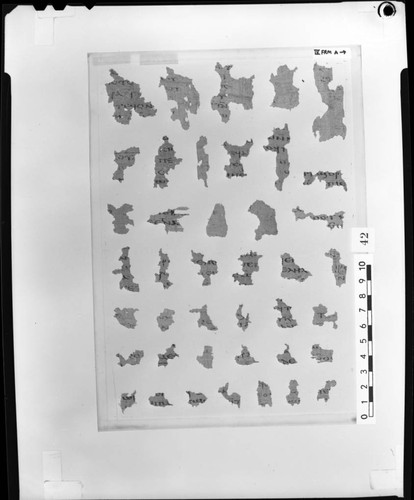 Codex IV unidentified fragments — Calisphere