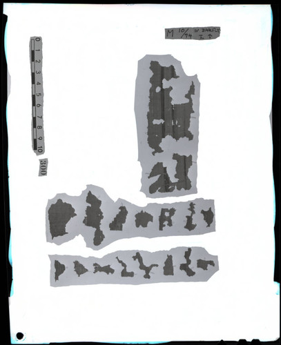 Codex IV fragments