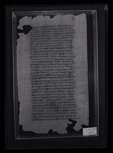 Codex VII, papyrus page 9
