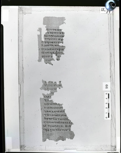 Codex IX half of papyrus page 37