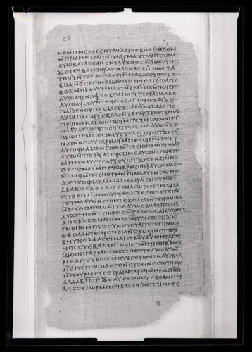 Codex II, papyrus page 23