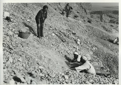 Rocky desert near Jabal al-Ṭārif cliff