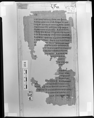 Codex IX papyrus page 42