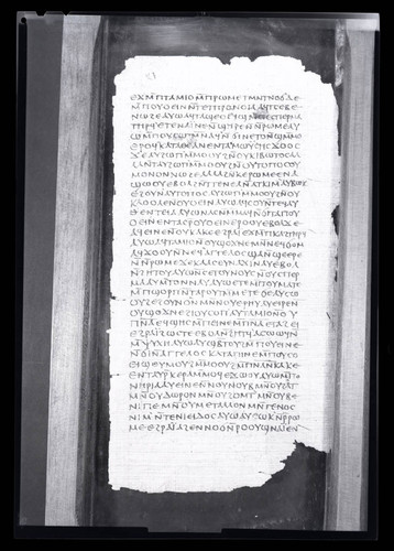 Codex II, papyrus page 29