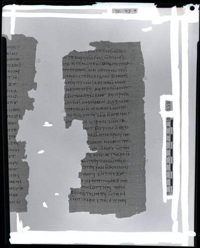 Codex III, papyrus page 43