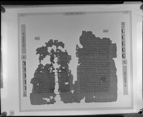 Codex XI, papyrus pages 14 and 57