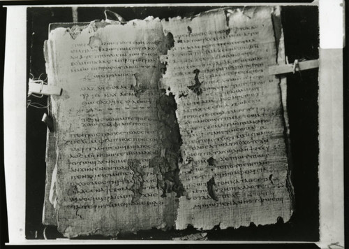 Codex VIII, pages 132-133