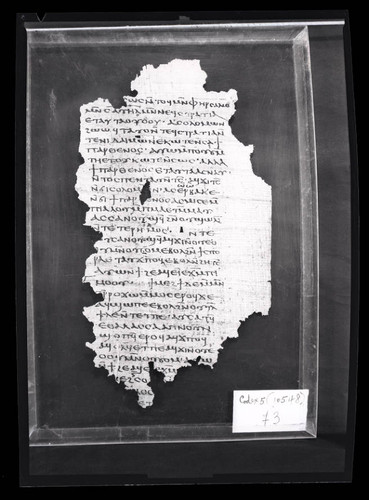 Codex V, papyrus page 79