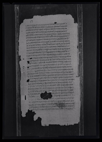 Codex II, papyrus page 14