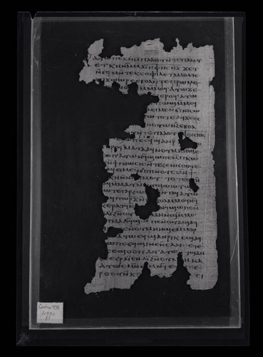 Codex VIII, papyrus page 45