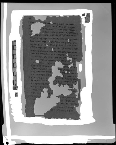 Codex VIII, papyrus page 26