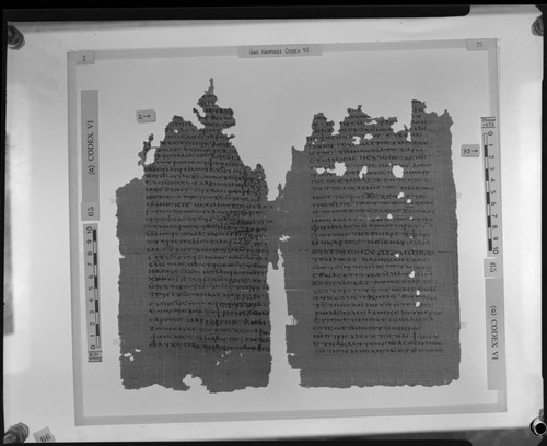 Codex VI, papyrus pages 2 and 75