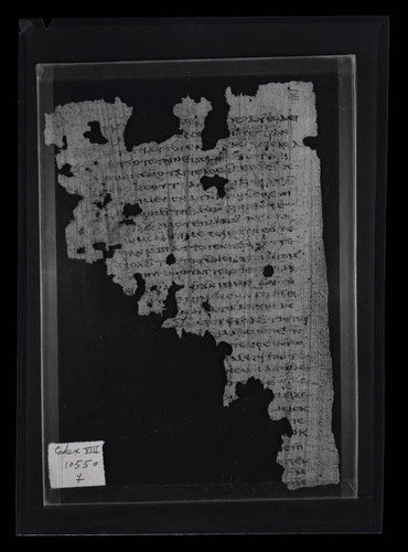 Codex VIII, papyrus page 7